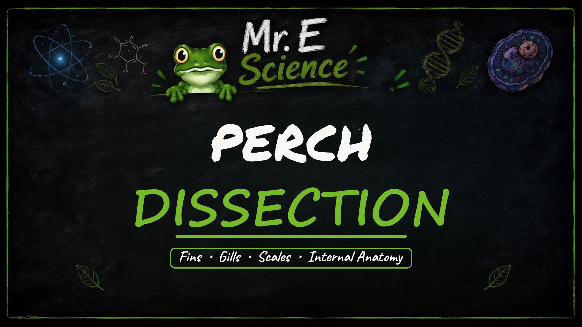 Perch Dissection title card